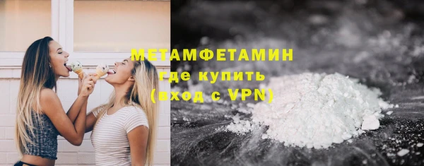 сатива Коряжма
