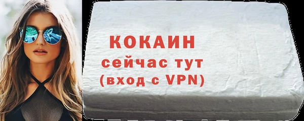 сатива Коряжма