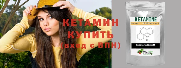 сатива Коряжма