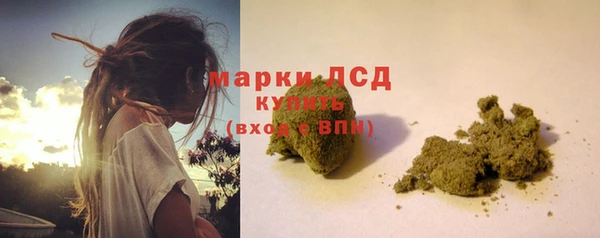 сатива Коряжма
