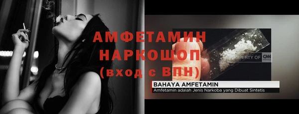 сатива Коряжма