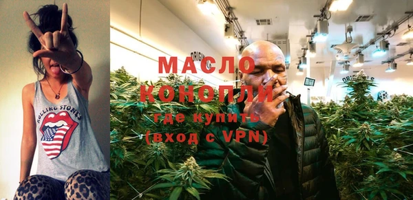 сатива Коряжма