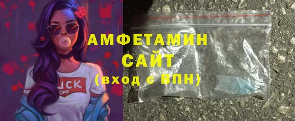 сатива Коряжма