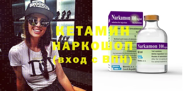 сатива Коряжма